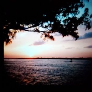 Meet your Posher, Leila